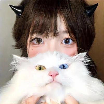 黑猫重案组