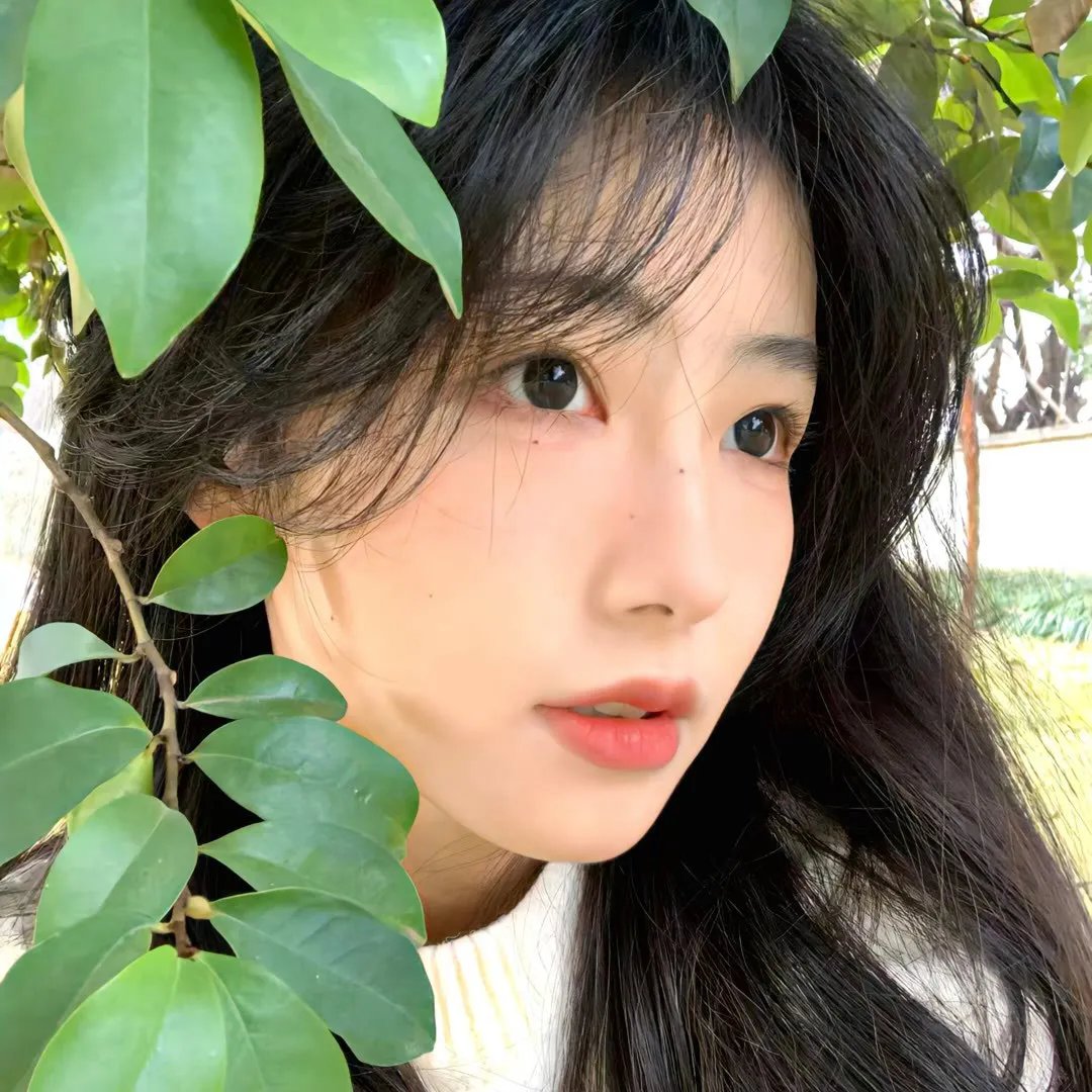 恋姬无双